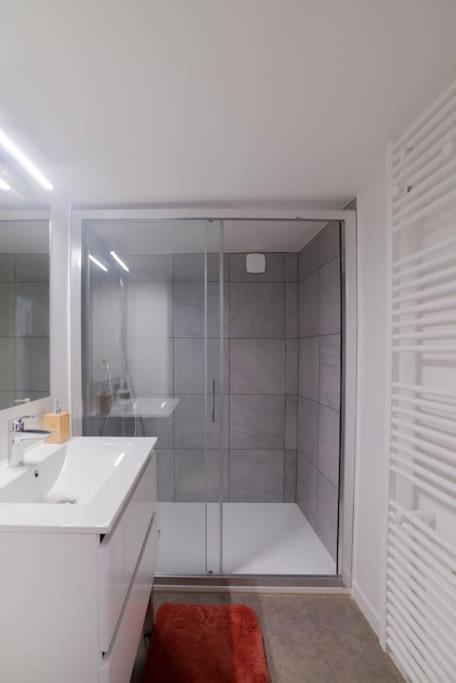 Appartement Cosy Hyper Centre إبينال المظهر الخارجي الصورة